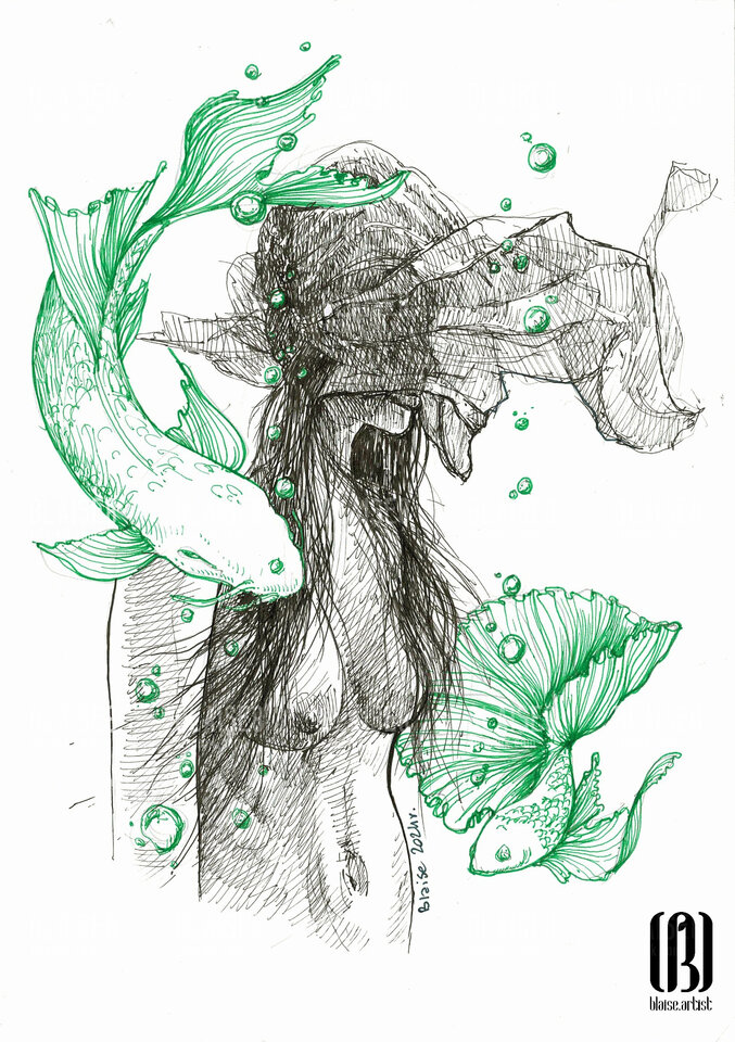 Art. No. 300 - blaise8