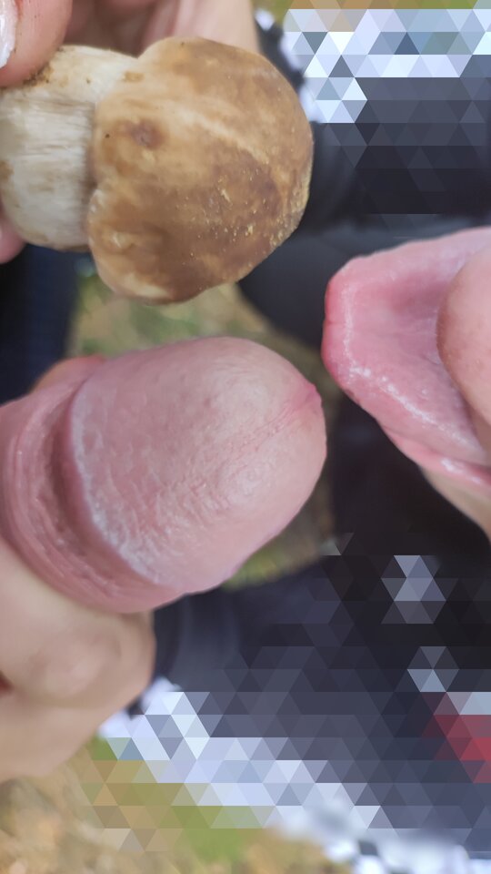 IMG_20241003_155214.jpg - Fajnimy2