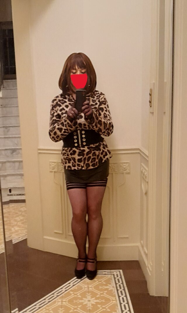 TransAneta