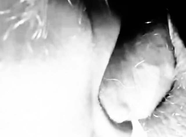 IMG_3792.jpeg - fuckBOTAK