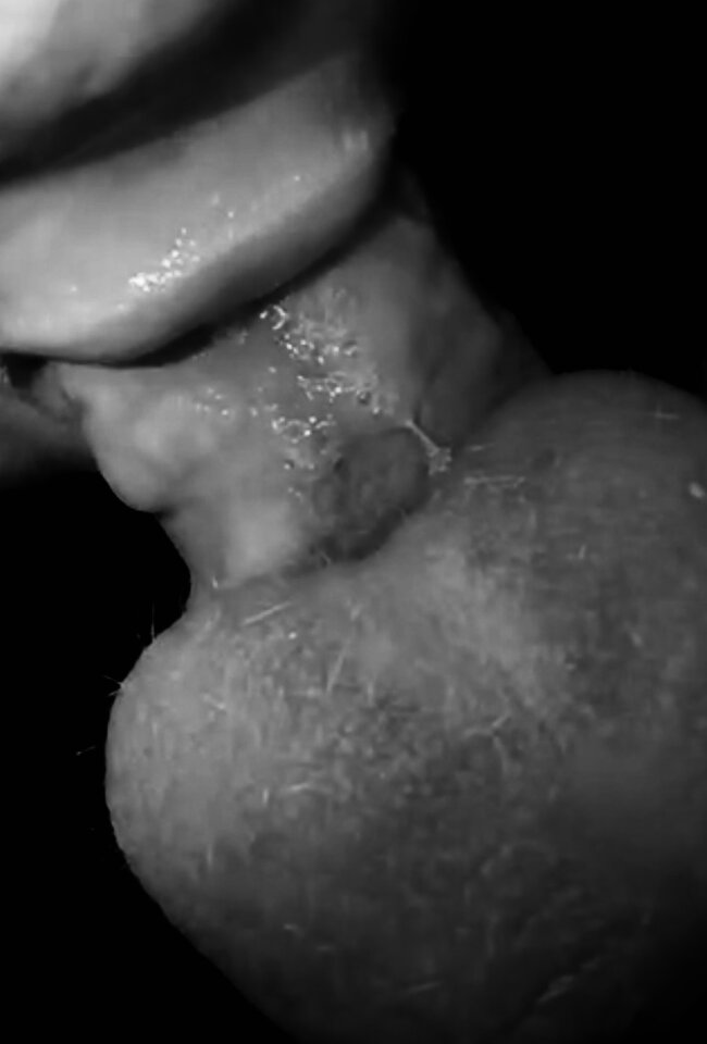 IMG_3783.jpeg - fuckBOTAK