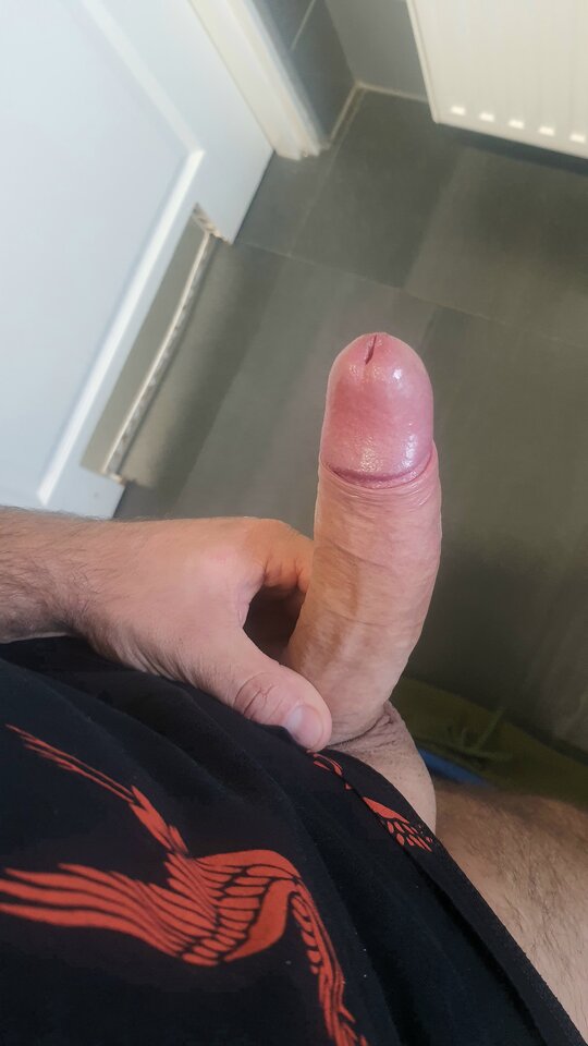 1000045546.jpg - toxict