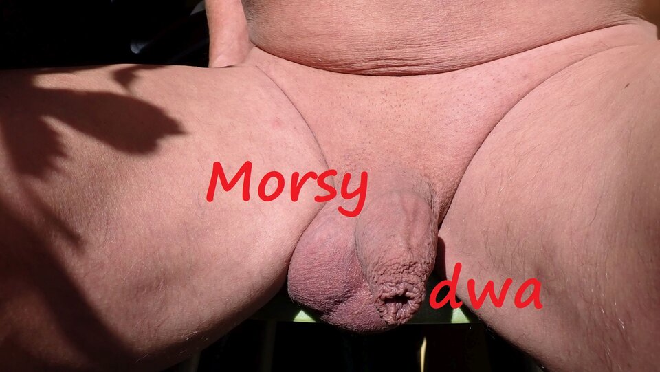 Jesienna sesja. - Morsy_dwa