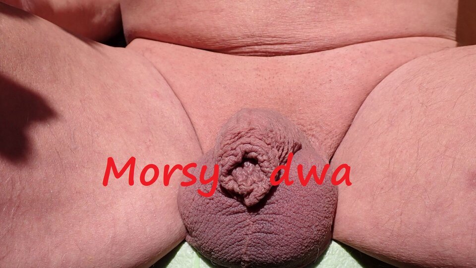 Jesienna sesja. - Morsy_dwa