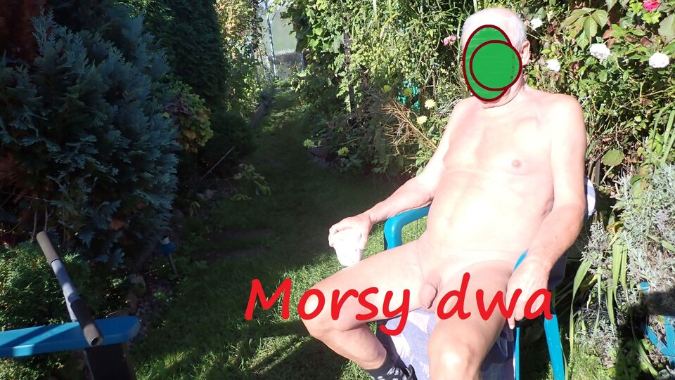 Jesienna sesja. - Morsy_dwa