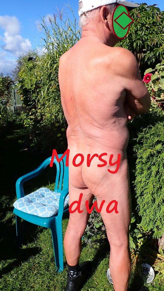 Jesienna sesja. - Morsy_dwa