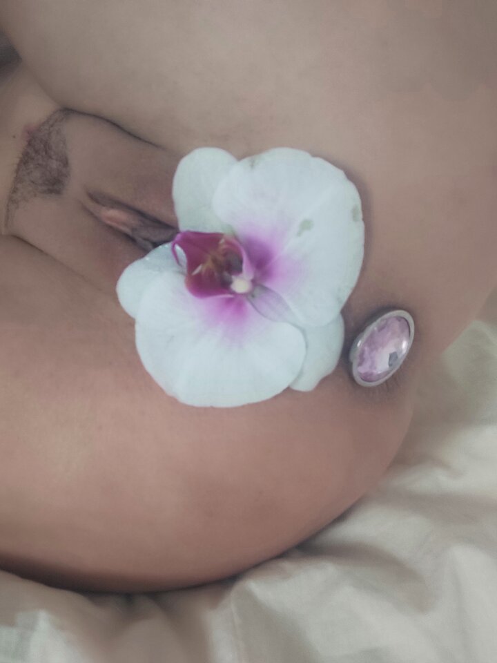 IMG_20241005_105944.jpg - PszczolkaiBzykacz82