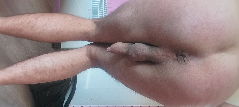 1000028917.jpg - pawe16