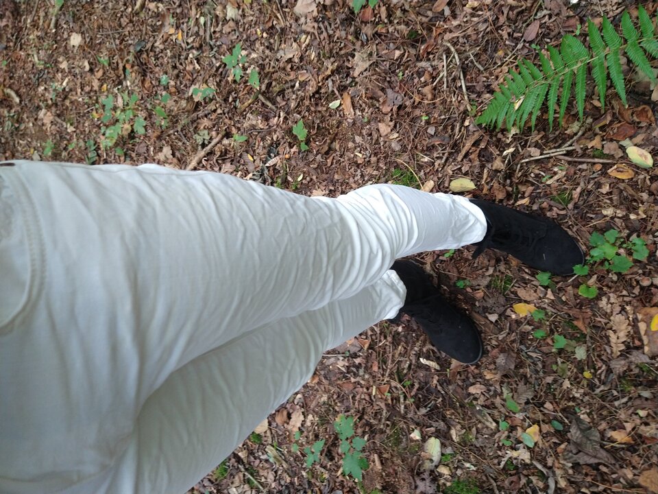 IMG_20241005_145541666.jpg - milenacd90