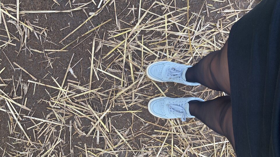 1DFCE561-2AD6-45A5-A2BC-58E67EC63B97.jpeg - May_Day