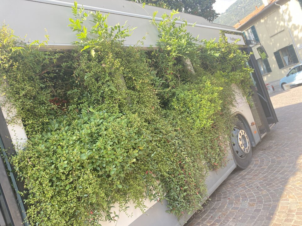 IMG_7765.jpeg - May_Day