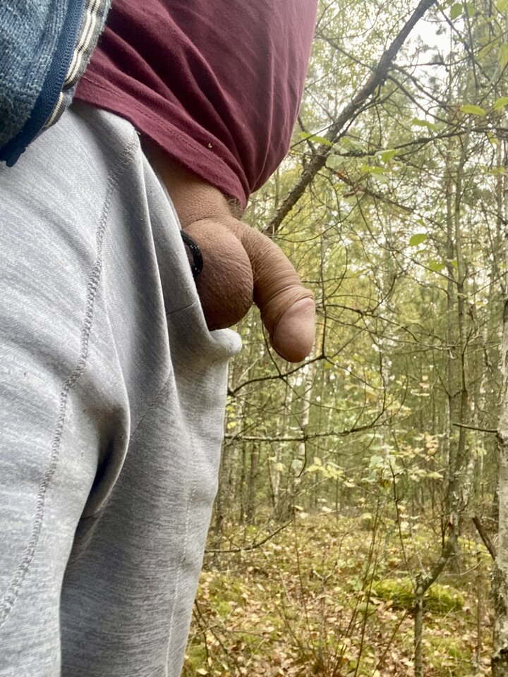 IMG_4981.jpeg - wirus101