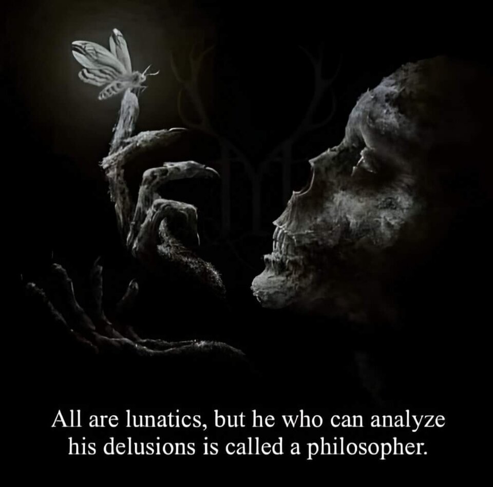   - NocTarion