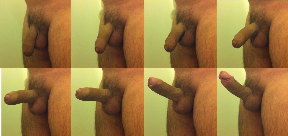 penis.jpg - ruperto11