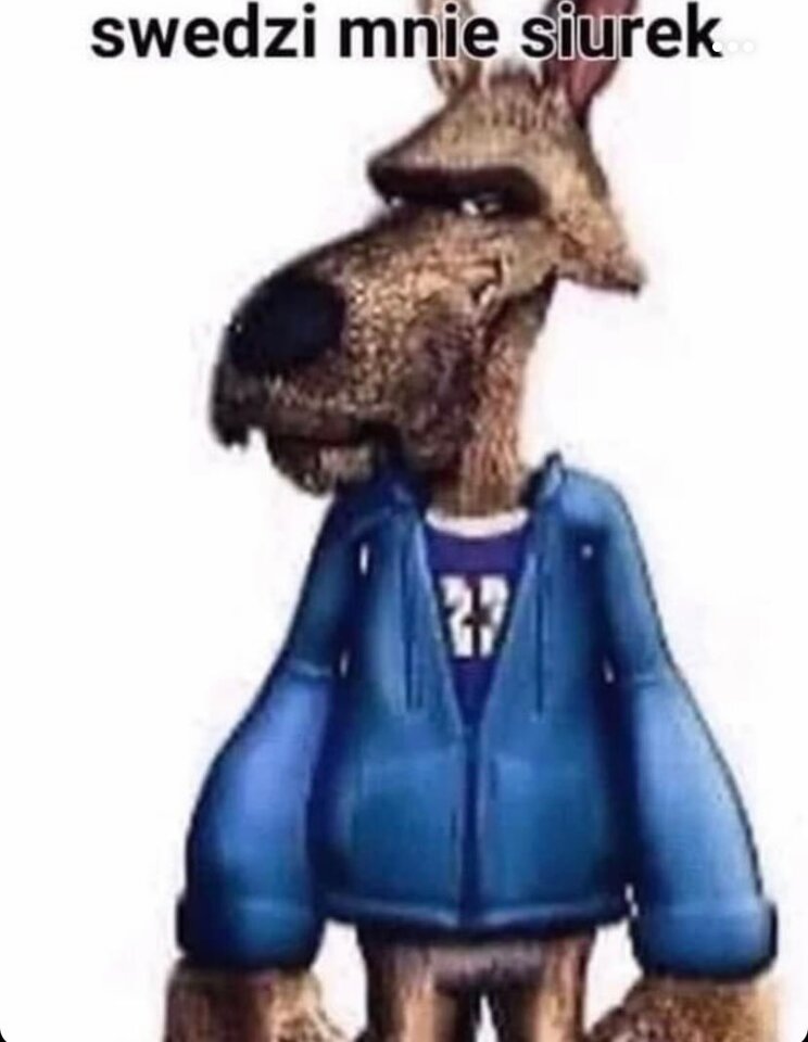 461730326_555310107165576_2569634881827864967_n.jpg - ernandosafari1337