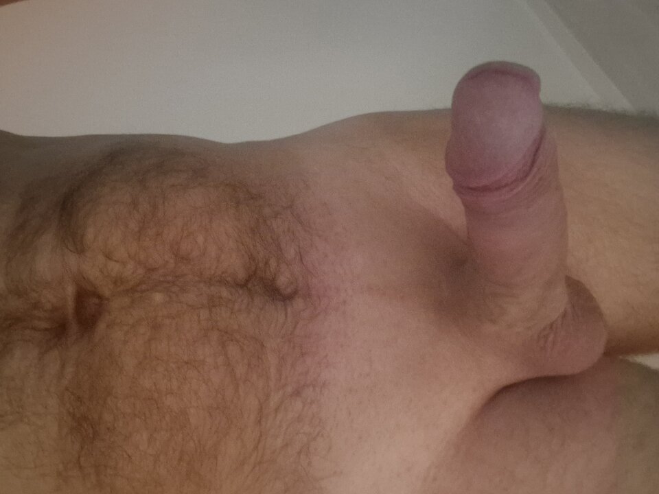 20241005_184945.jpg - alexo84