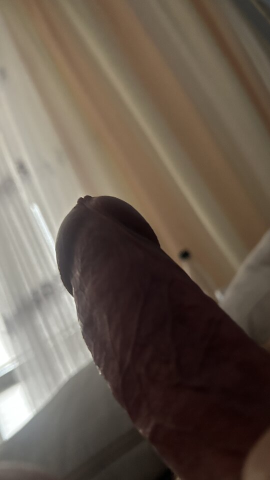 IMG_2533.jpeg - bondjames728