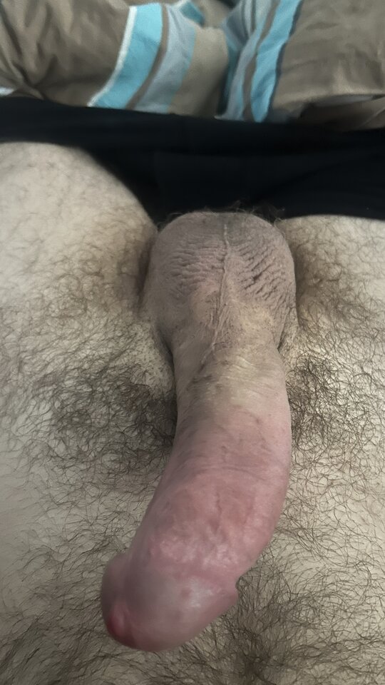 IMG_2542.jpeg - bondjames728