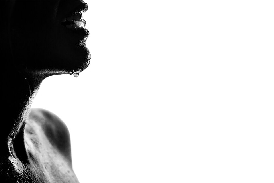 DSC_5105small.jpeg - Yashon