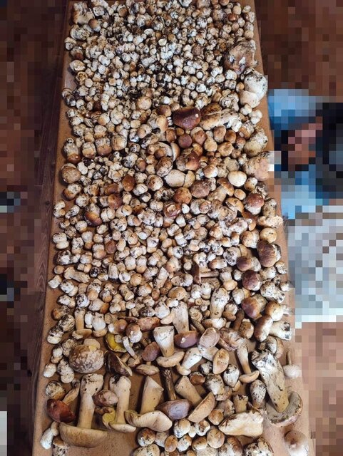 IMG_7881.jpeg - May_Day