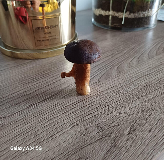 IMG_6820.jpeg - 78usmiech