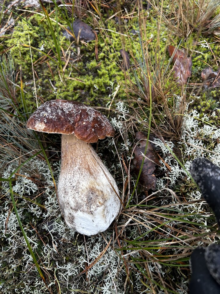 IMG_5325.jpeg - NaturystaXXX