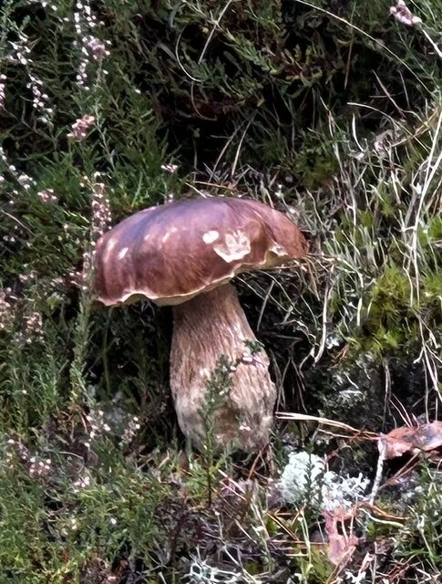 IMG_5327.jpeg - NaturystaXXX