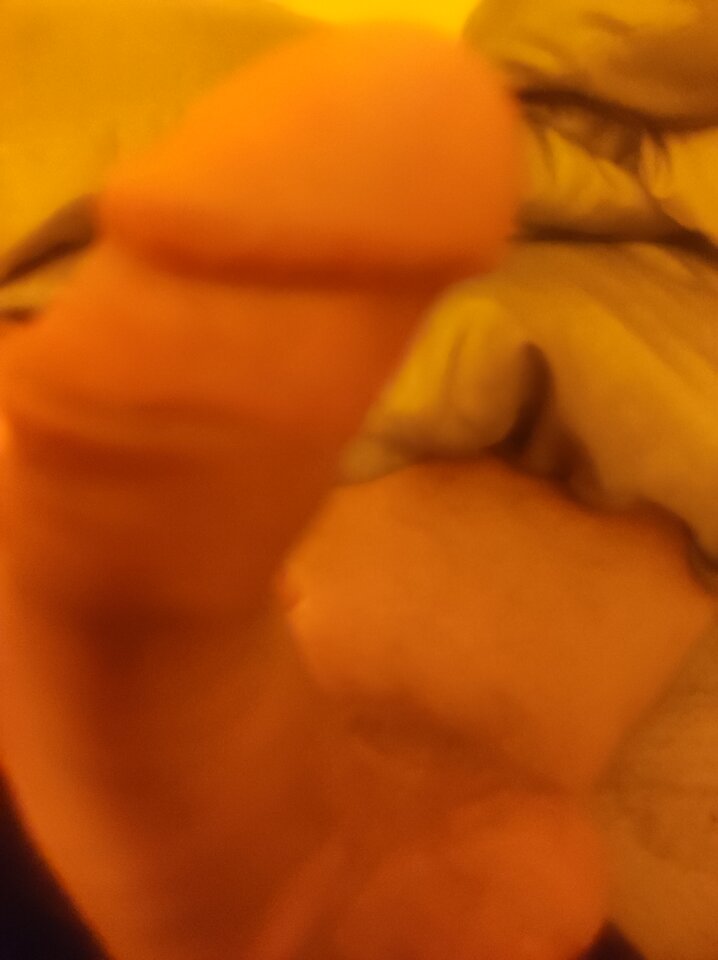 IMG_20241007_092624.jpg - BigMayk1999