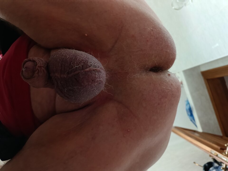 IMG_20241007_110827_230.jpg - robekBi