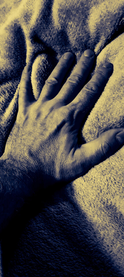 b4f91503-0140-45ac-9002-1c5039bcf367-1_all_4061.jpg - Tor747474