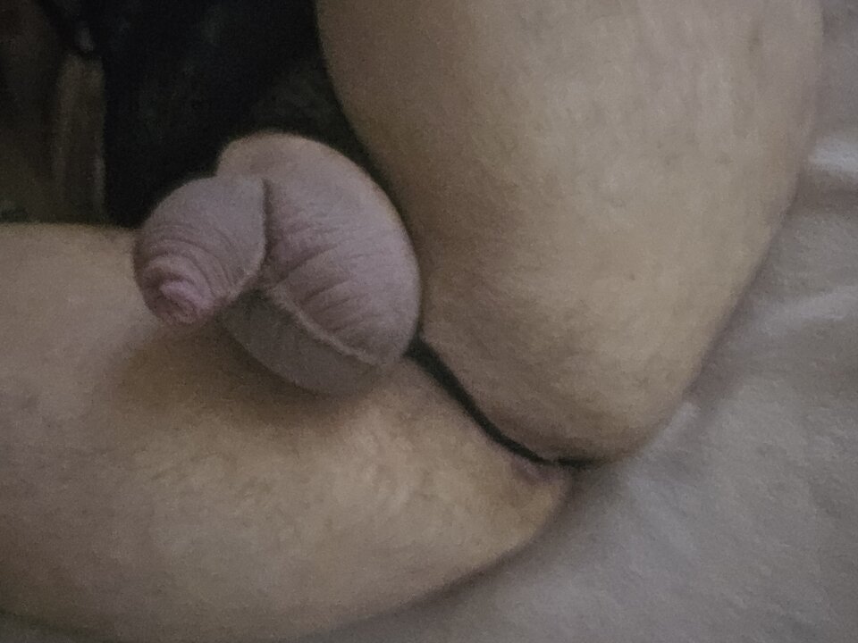 20241007_223907.jpg - Ostrokry