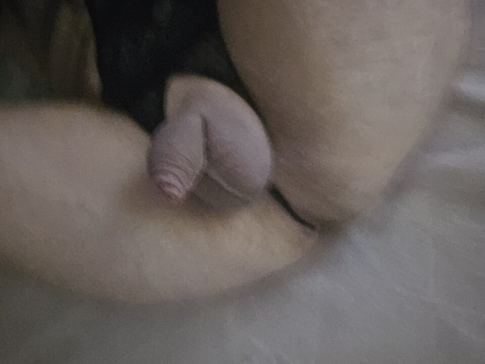 20241007_223907(0).jpg - Ostrokry