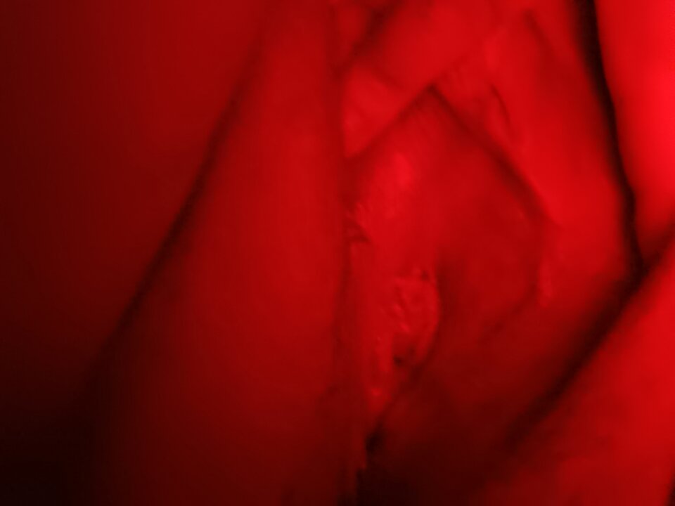 1000007447.jpg - chetninasex26i29