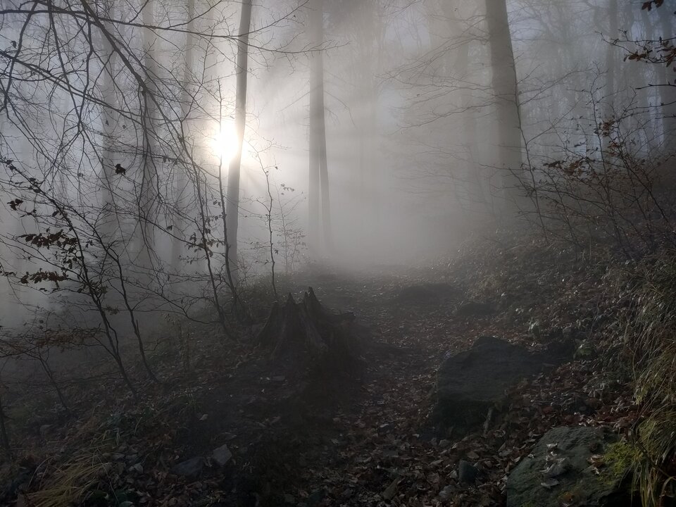 fc8489ac-8c2c-4190-9b82-aae1b423c7fa-1_all_5800.jpg - 1986lukass