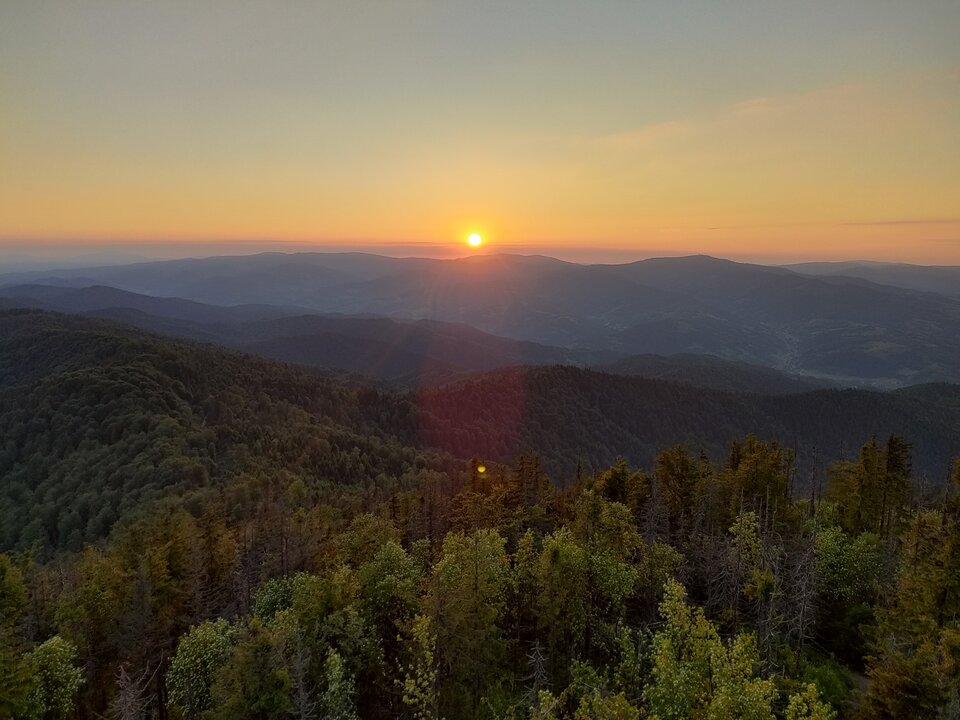 fc8489ac-8c2c-4190-9b82-aae1b423c7fa-1_all_4702.jpg - 1986lukass