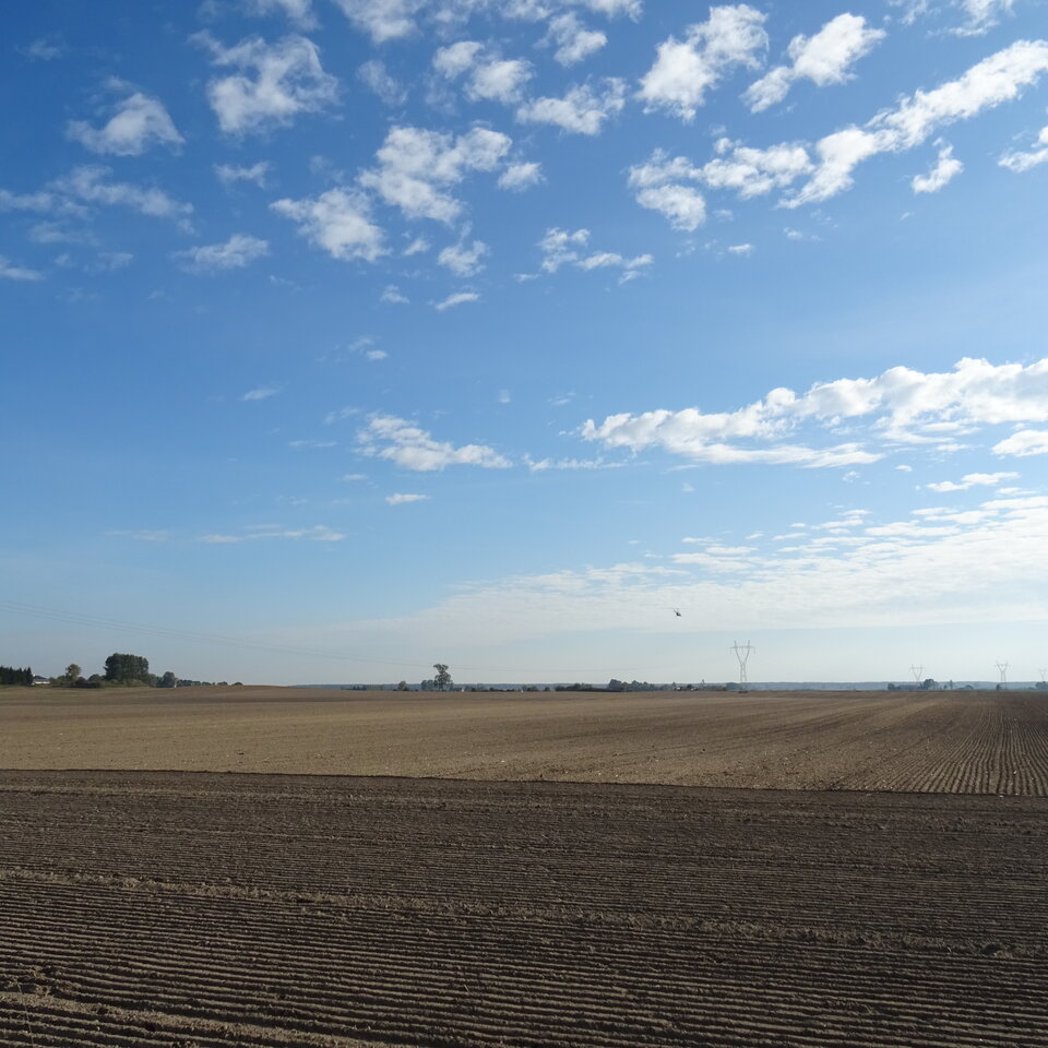 DSC03547.JPG - bojman8