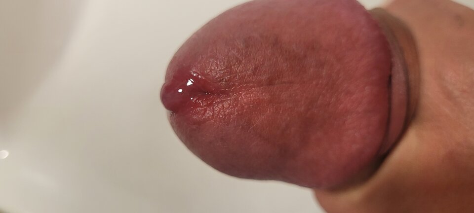 20241008_115835.jpg - NapalonyAngol