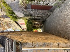 IMG_3651.jpeg