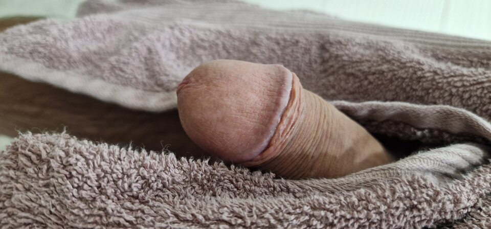 17284123712891546412828122027129.jpg - robin266