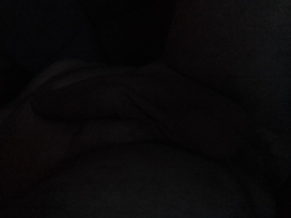 20241008_224130.jpg - Panprezesx