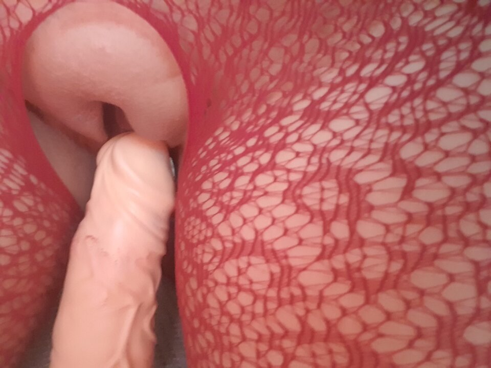 20241006_170252.jpg - BoskaLodziarka