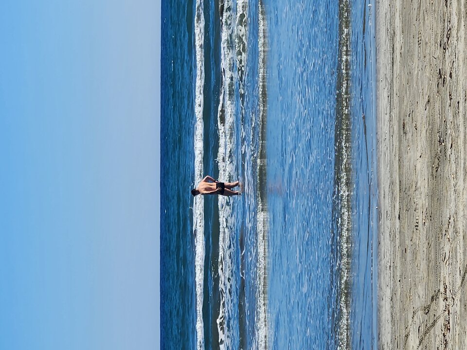 1000022273.jpg - Barto2204