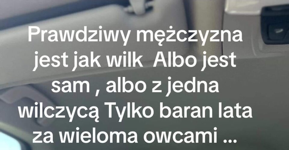 1000016586.jpg - misiaczki5450