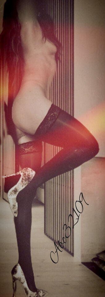 Polish_20241107_100822147.jpg - Abc32109