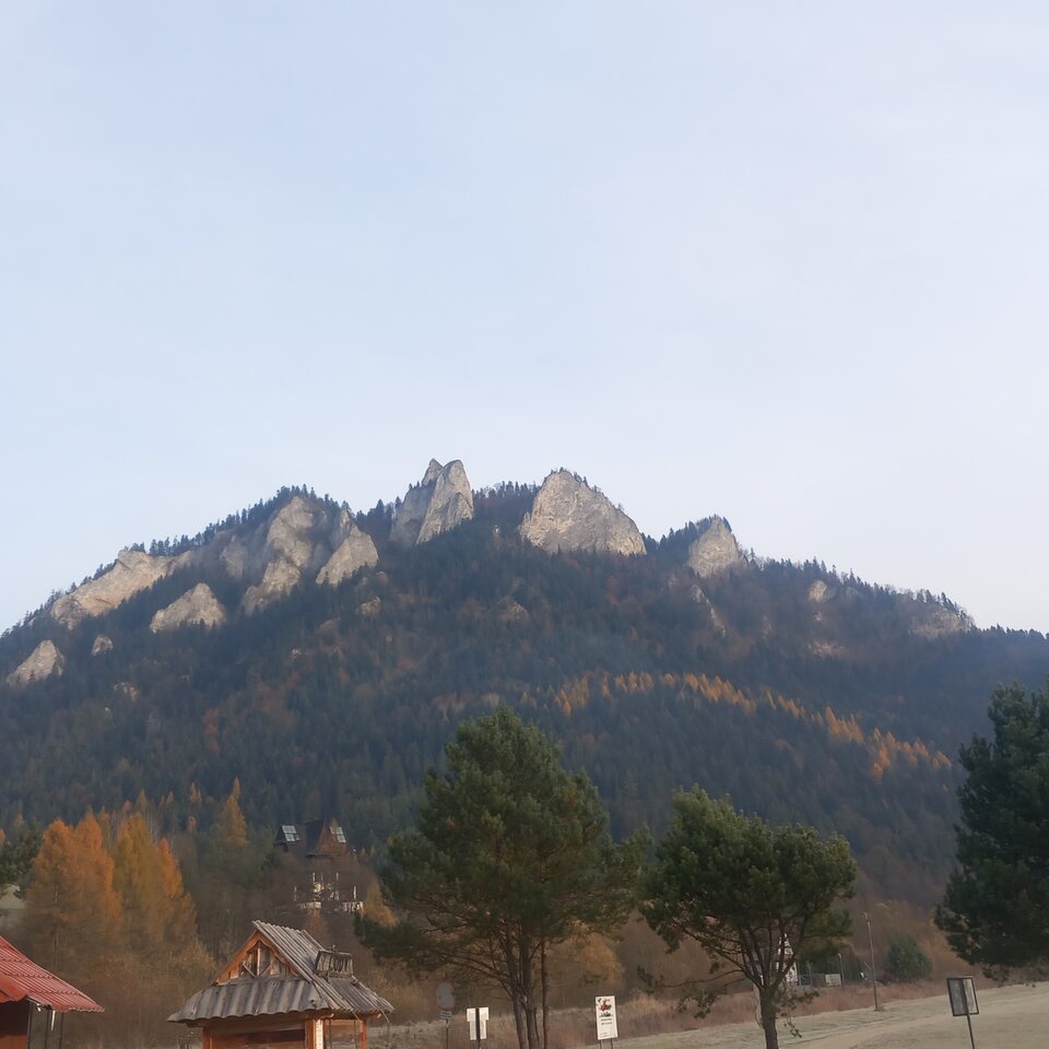 1000008636.jpg - szukampaninasex69