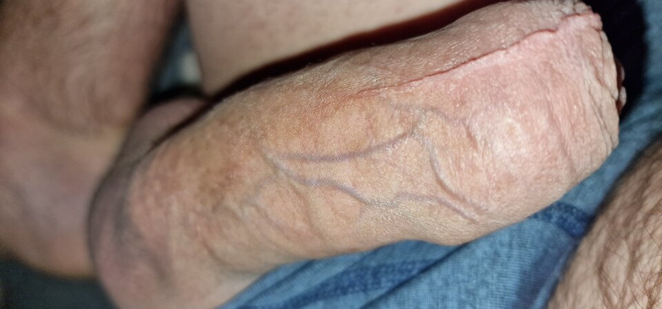 17310381098325513637600441378564.jpg - robin266