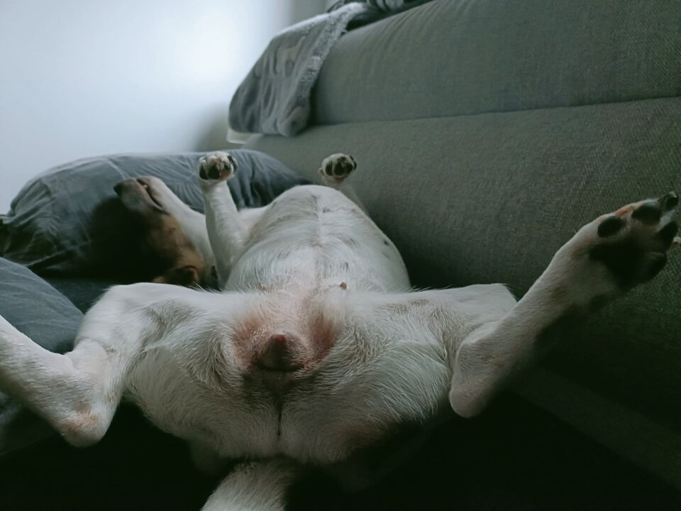 1000025794.jpg - malzenstwo81krk