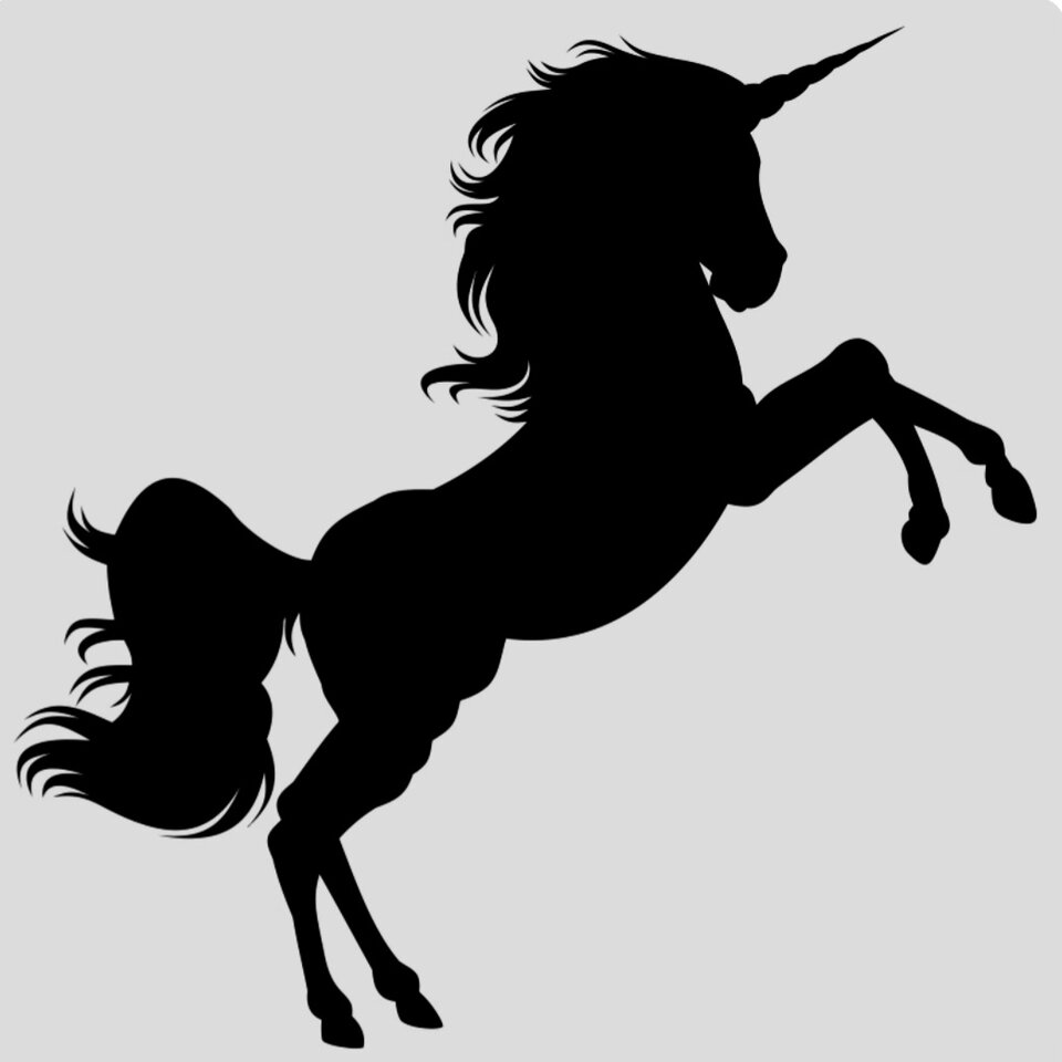 Screenshot_20241108_101237_Samsung Internet.jpg - WysokaKobieta