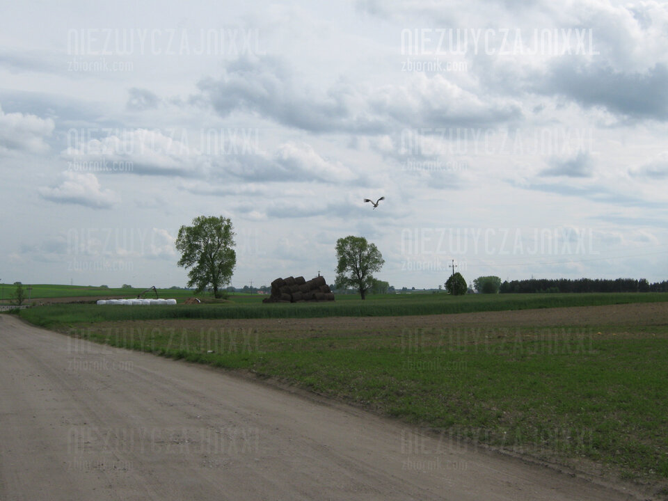 Bocian - NIEZWYCZAJNIXXL