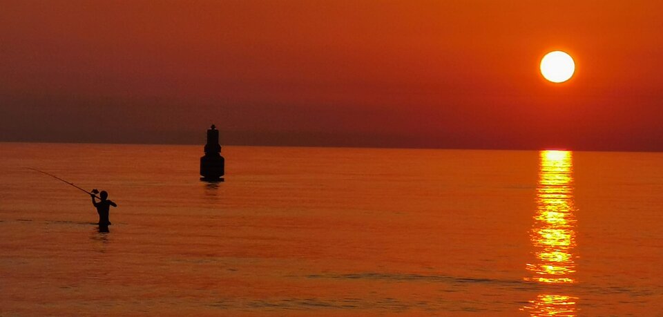 294091426_771073454038695_6449266615659593386_n (1).jpg - famarzed